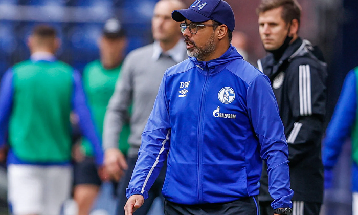 关于沙尔克遭遇连败，保级形势不容乐观的信息